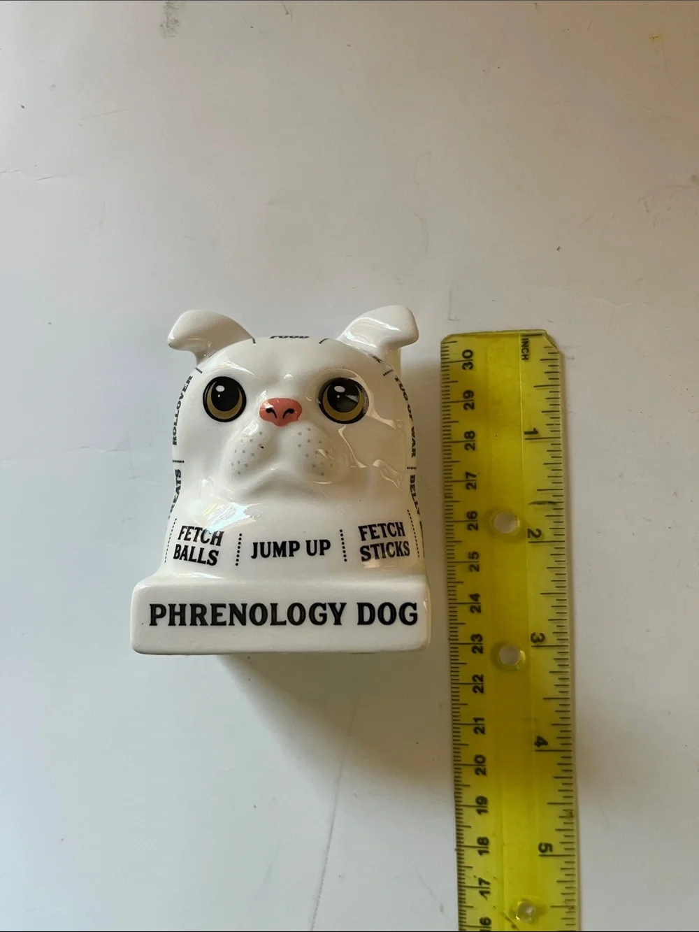 Dog lover accessories- Dog Phrenology, leash and Westie Xmas ornament